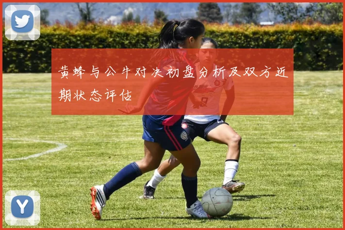 黄蜂与公牛对决初盘分析及双方近期状态评估