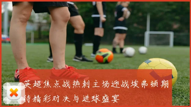 英超焦点战热刺主场迎战埃弗顿期待精彩对决与进球盛宴