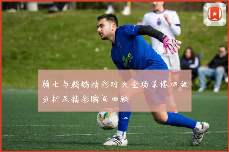 骑士与鹈鹕精彩对决全场录像回放分析及精彩瞬间回顾